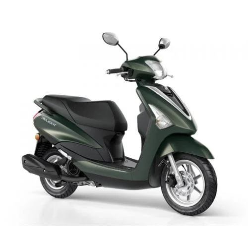 2018 Yamaha Delight