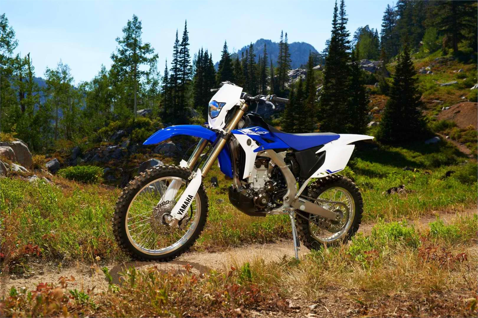 2013 Yamaha WR450F