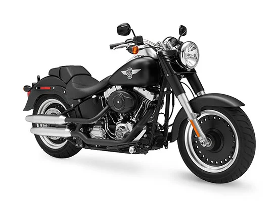 2010 Harley-Davidson FLSTFB Sportster Fat Boy Special