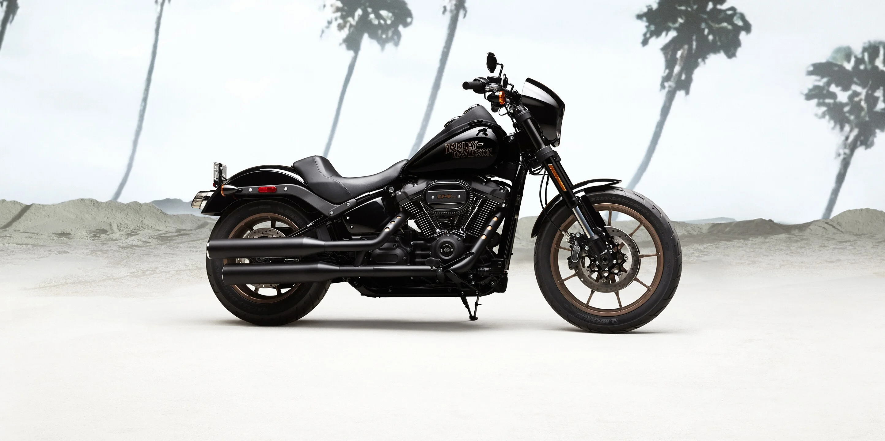 2020 Harley-Davidson Low Rider