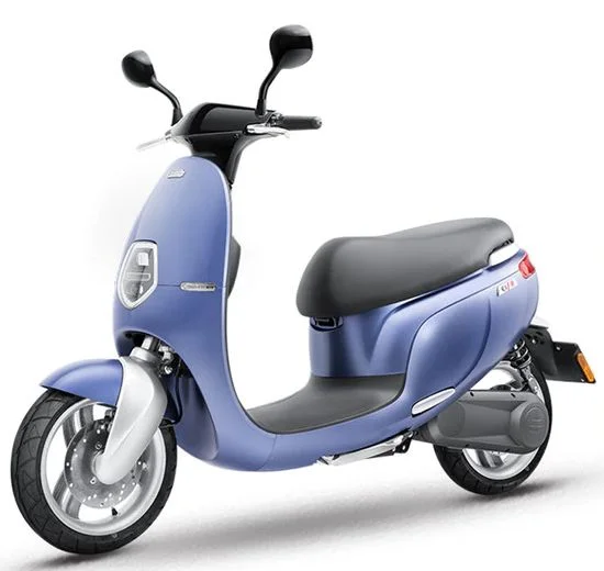 2021 Saxxx Ecooter E1S