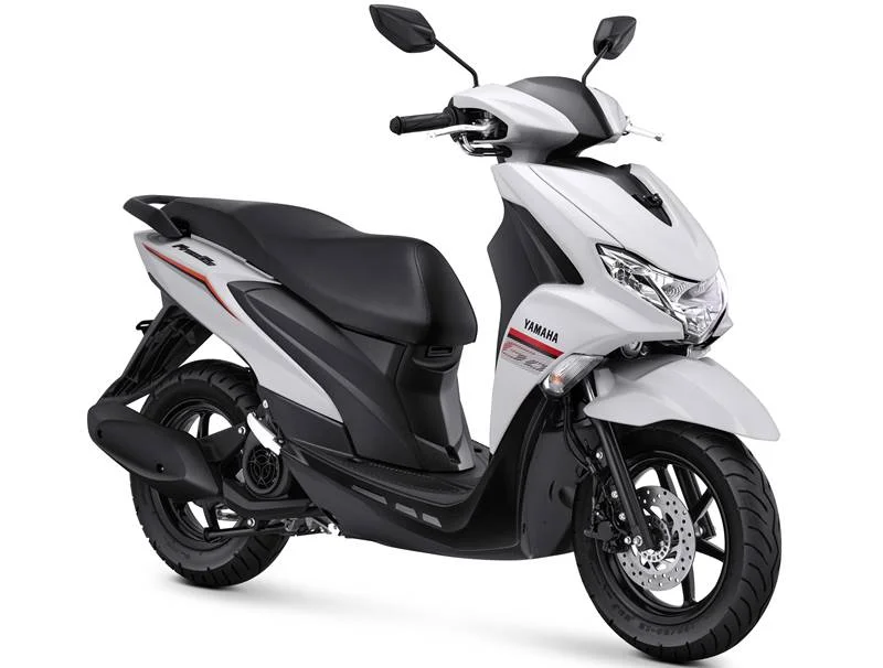 2021 Yamaha Freego S