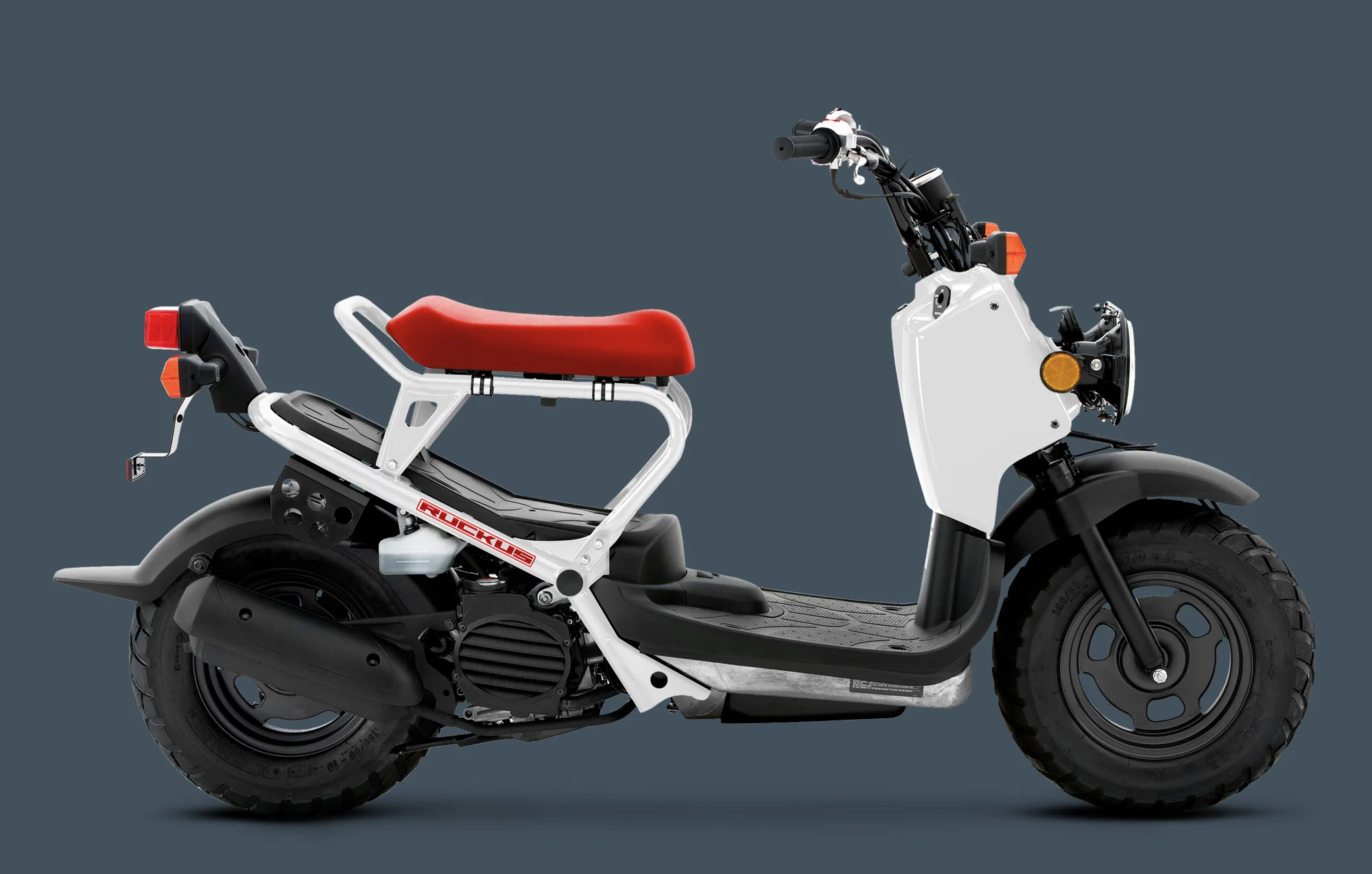 2013 Honda Ruckus