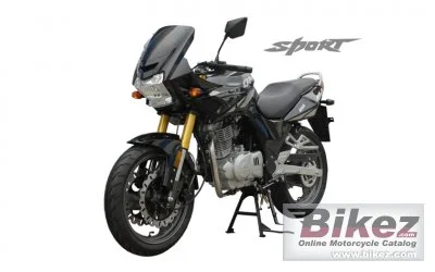 2013 Qingqi Sport QM250-2D