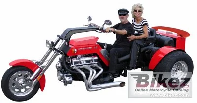 2010 Cheetah Trike Chopper