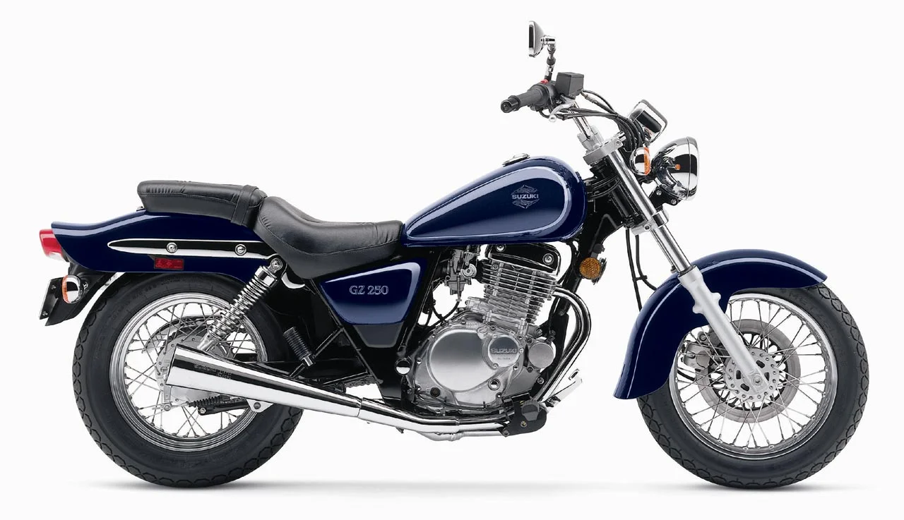 2010 Suzuki GZ250