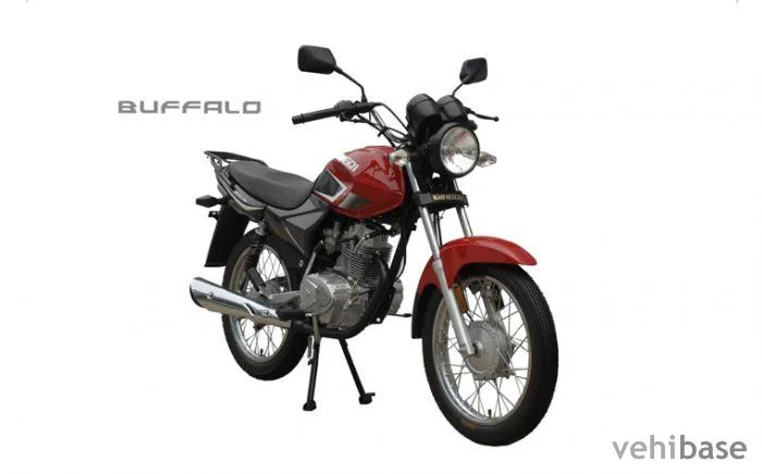 2013 Qingqi Buffalo QM125-10R