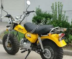 2009 Skyteam T-Rex 125