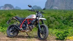 2019 Ducati Scrambler Desert Sled