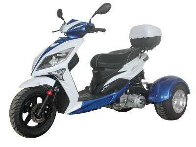 2016 Ice Bear Mojo 150 Trike