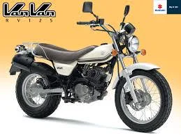 2011 Suzuki Van Van 200