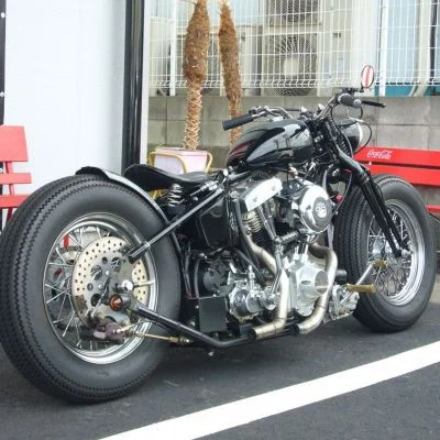 2009 Road Hopper Type 2