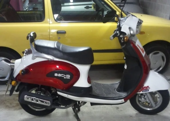 2011 Sachs Bee 50