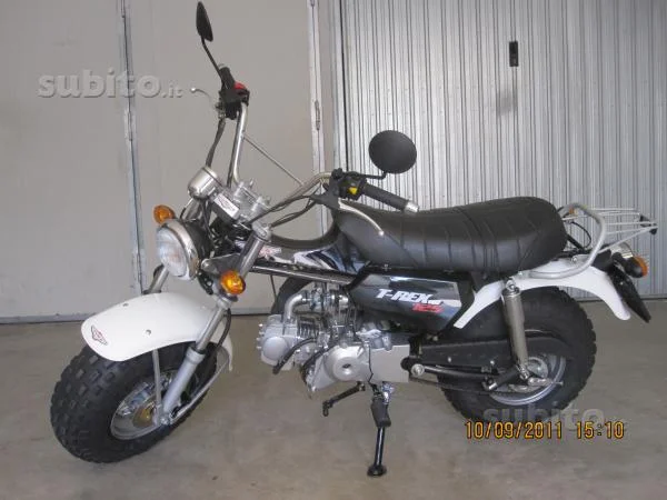 2010 Puma T-Rex 125
