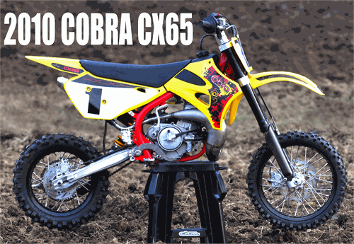 2010 Cobra CX65