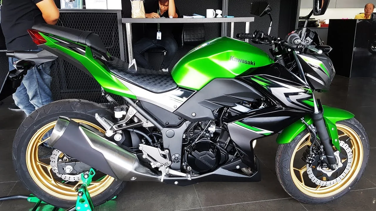 2017 Kawasaki Z300