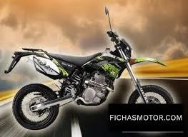 2013 Qlink MT 250