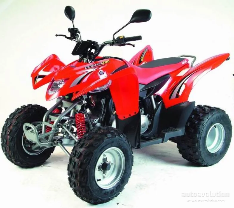 2008 Aeon Cobra 220