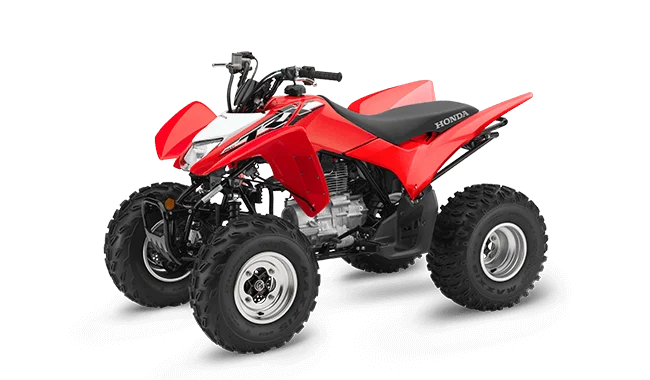 2019 Honda TRX250X