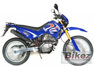 2010 Arqin RT200