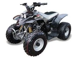 2011 Scorpa SR 125-2T