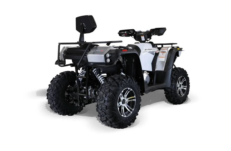 2022 Bennche Gray Wolf 550L