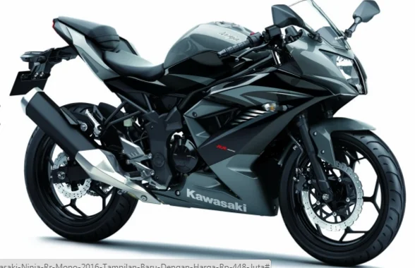 2016 Kawasaki Ninja RR Mono