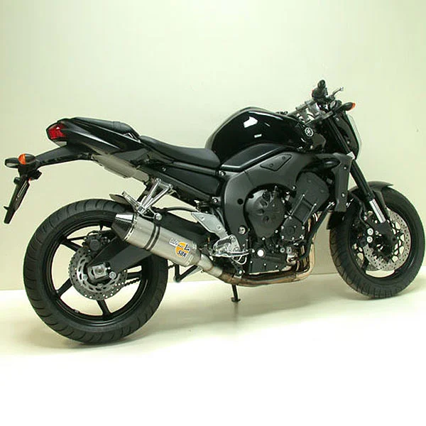 2010 Yamaha FZ1
