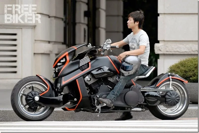 2014 Travertson V-Rex
