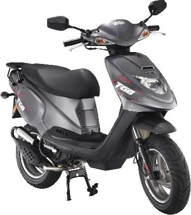 2010 TGB Tapo 50