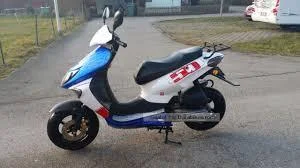 2013 Sachs SX