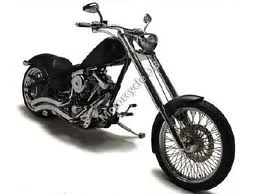 2009 Saxon Griffin