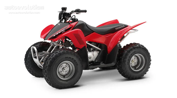 2010 Honda TRX90X
