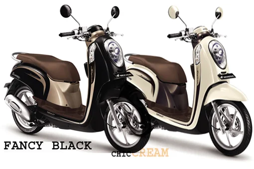 2013 Honda Scoopy