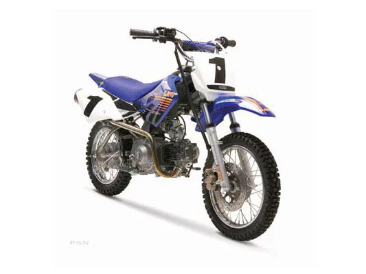 2006 UM DTF 110