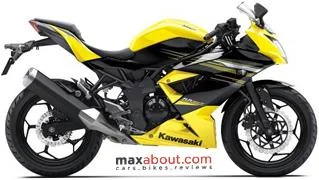 2015 Kawasaki Ninja RR Mono