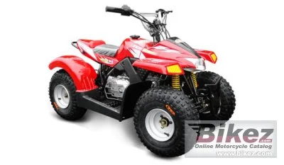 2013 Loncin LX50ATV-2 Kitten