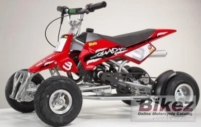 2009 Blata Funky 4Mat