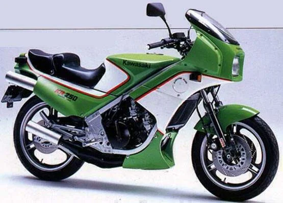 1989 Beta KR 250