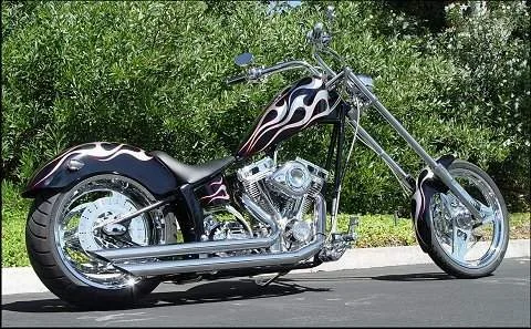 2009 American Eagle Raptor