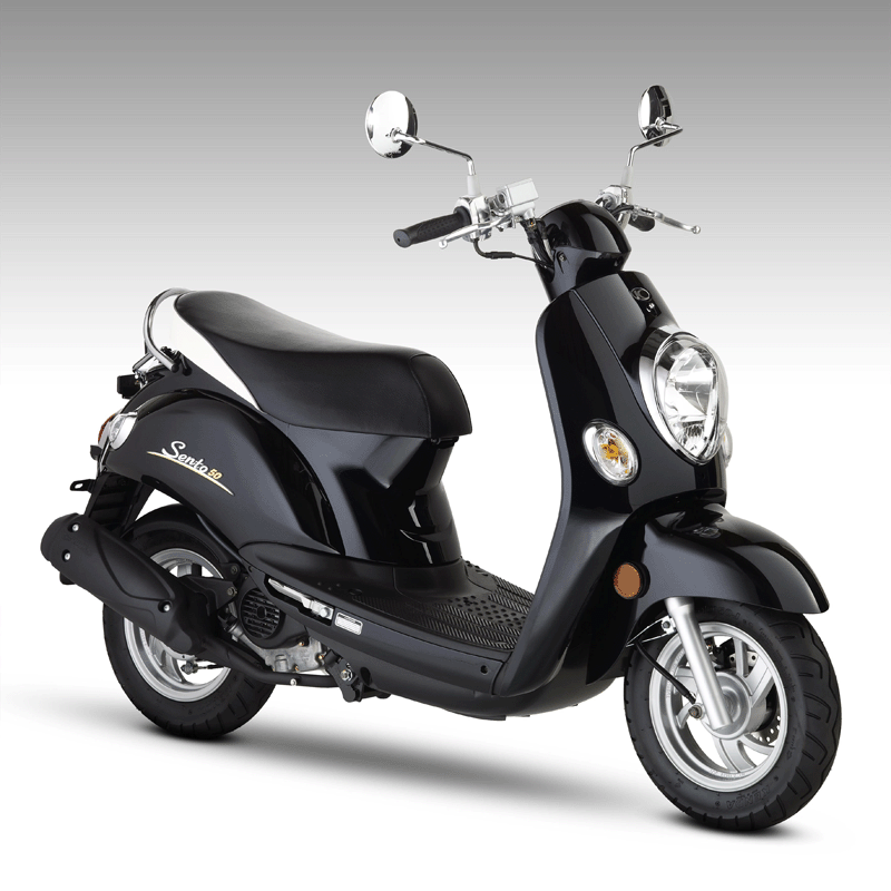 2010 Kymco Sento