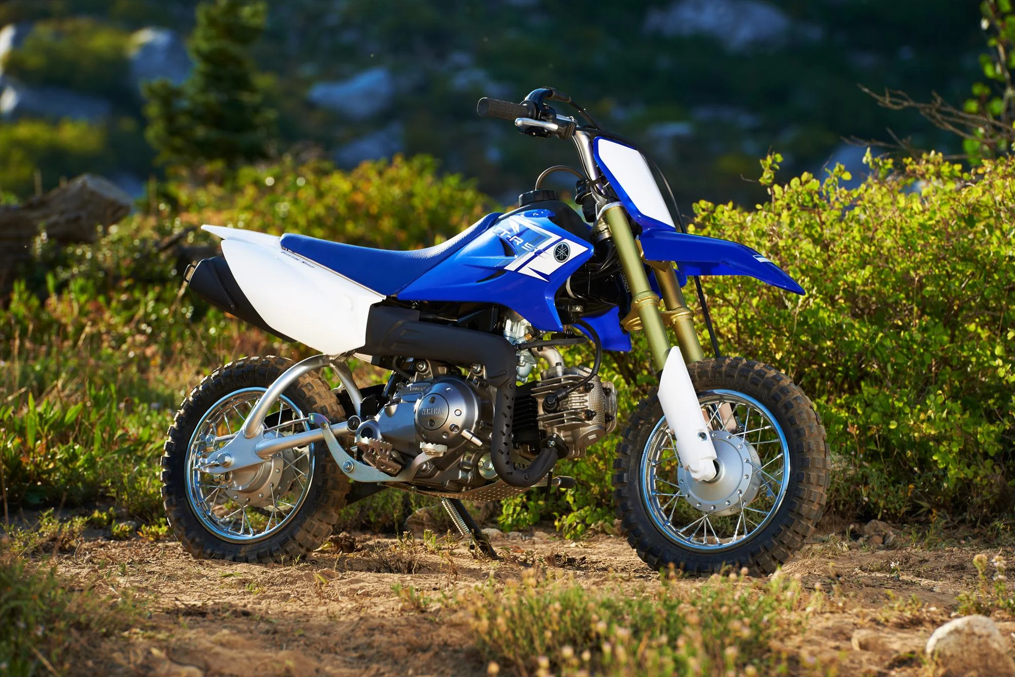 2014 Yamaha TT-R50E