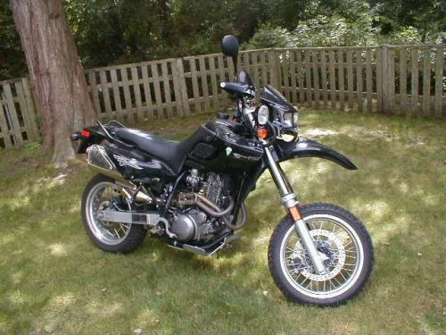 2001 MZ Baghira Black Panther