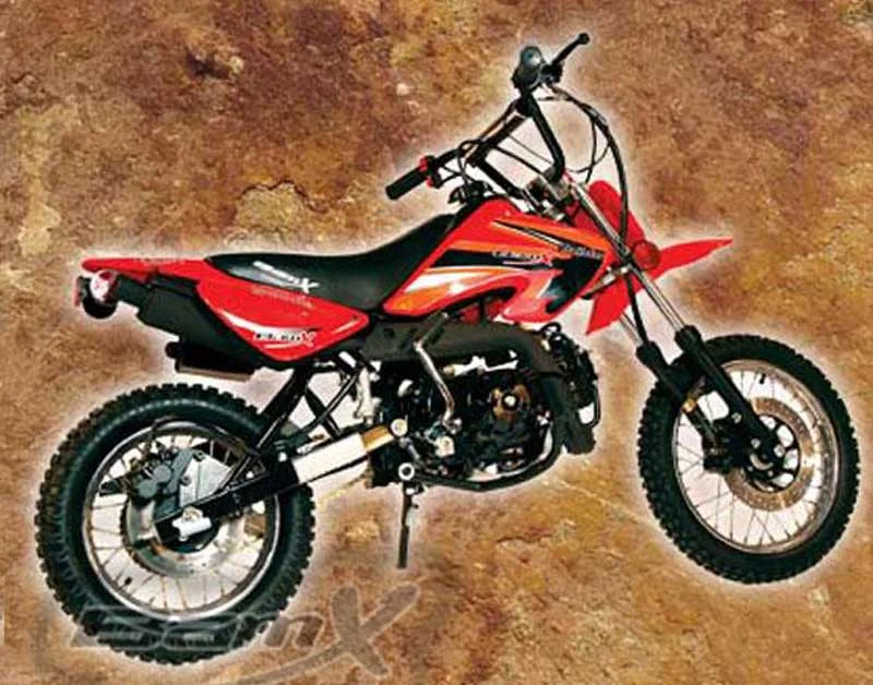 2009 BamX BX150-DB Voyager