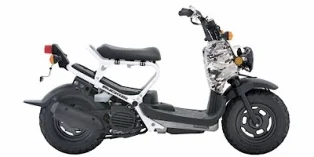 2007 Honda Rukus