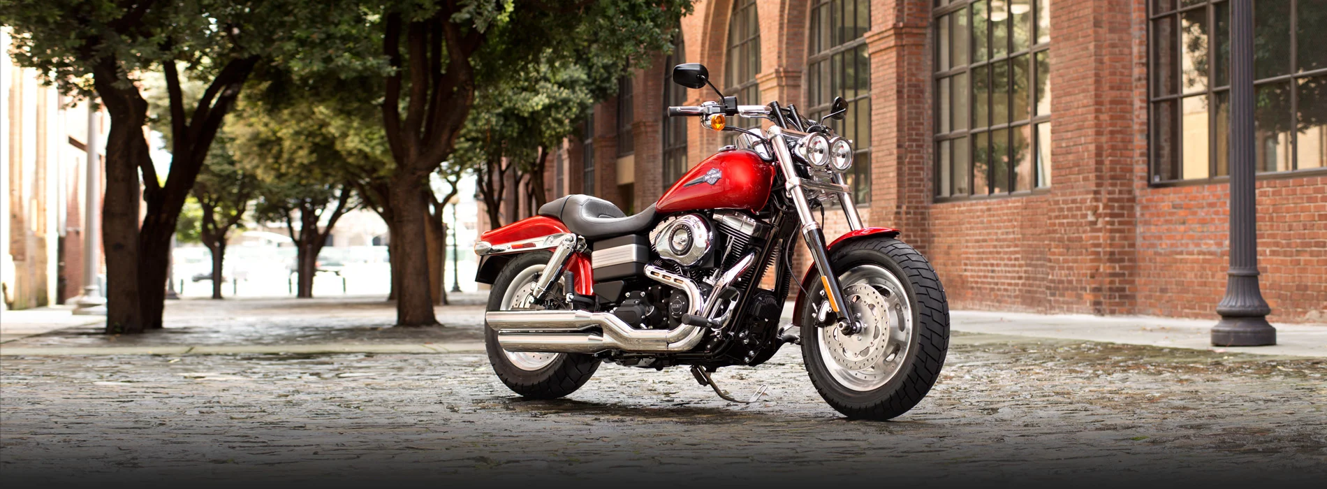 2013 Harley-Davidson Dyna Fat Bob Dark Custom