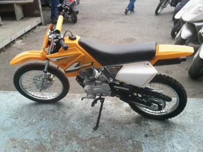 2011 Lifan Chimp 100