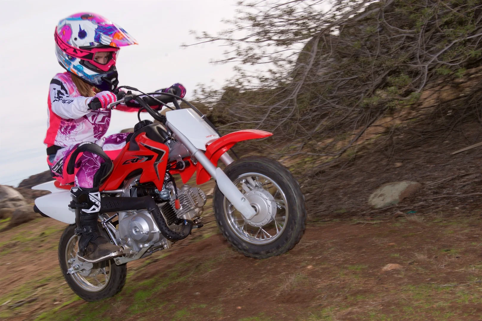 2017 Honda CRF50F