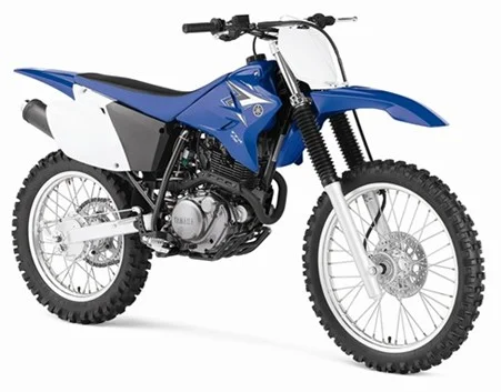 2010 Yamaha TT-R230