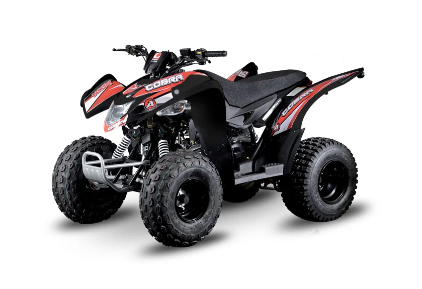2019 Aeon Cobra 50